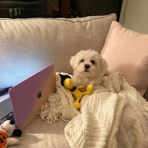 Meet your Posher, Kuci